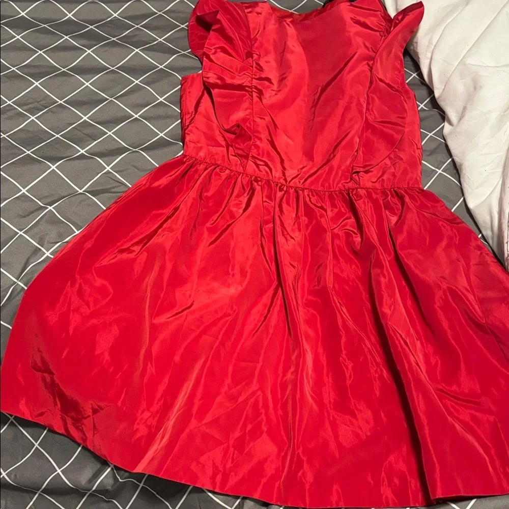 Zara Vibrant Red  Frill Mini Dress - Picture 12 of 12